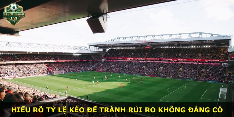 Hiểu rõ tỷ lệ kèo để tránh rủi ro không đáng có