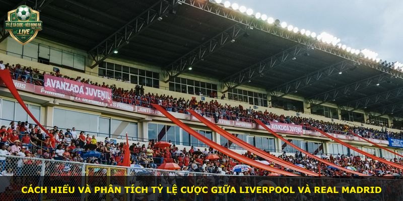 Cách hiểu và phân tích tỷ lệ cược giữa Liverpool và Real Madrid